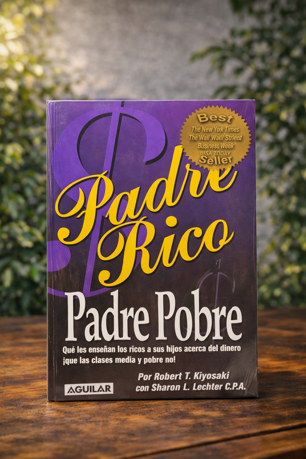 Padre Rico, Padre Pobre