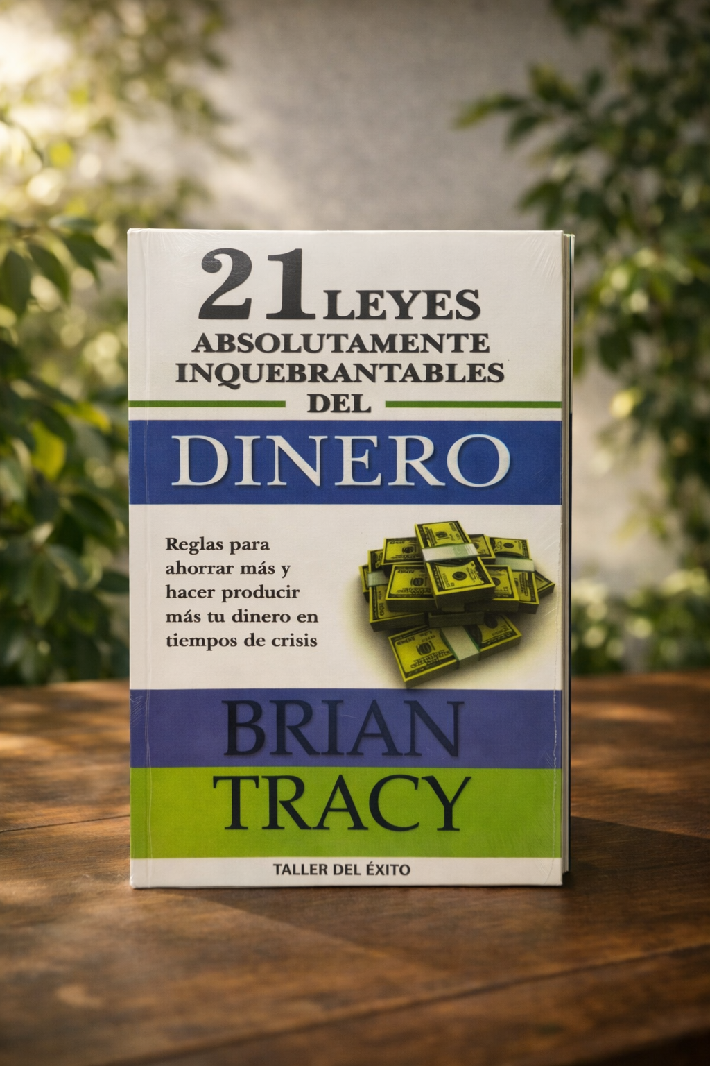 21 leyes absolutamente inquebrantables del dinero